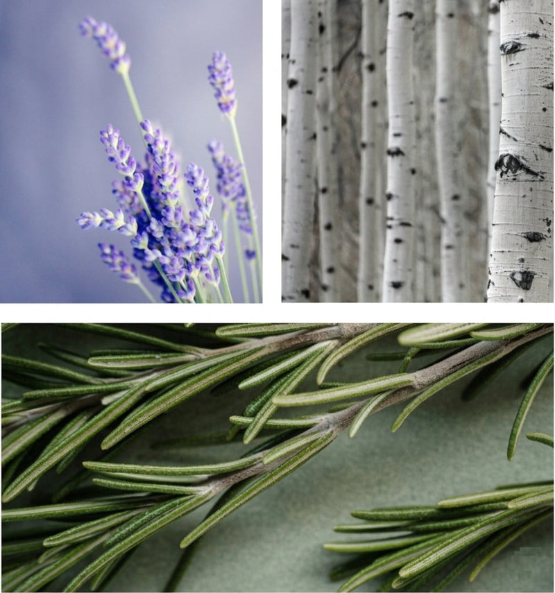 Alpine_Glow_fragrance