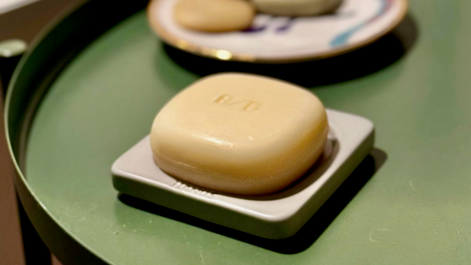 I bought the dish. The shampoo came with it. I didn't expect what happened next.