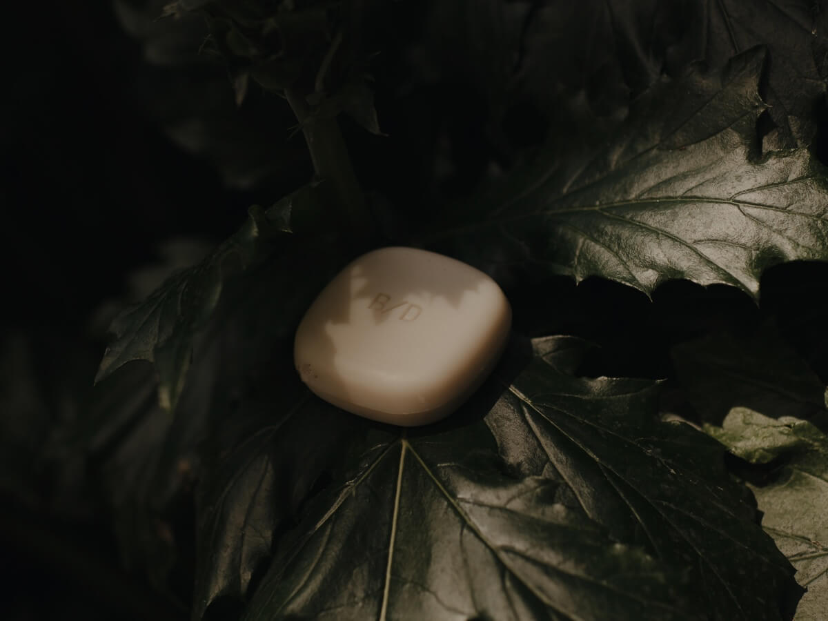 Solid Shampoo Bar | Scalp Balance | Amazonian Amour