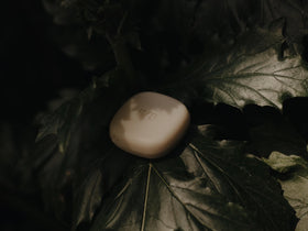 Shampoo Amazonian Amour Scalp Balance