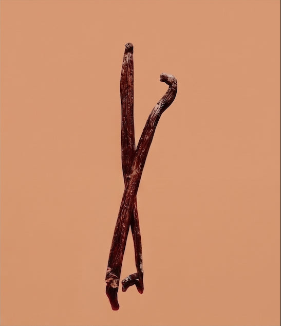 Two brown sticks of Vanilla crossed on a plan background - Amazonian Amour fragrance - Haute Parfumerie for hair - Beauty Disrupted
