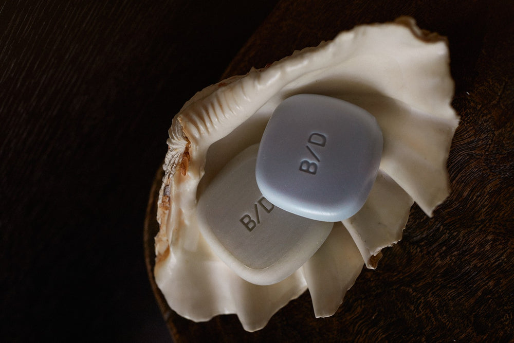 Two Beauty Disrupted luxury shampoo and conditioner bars inside a seashell on a black background