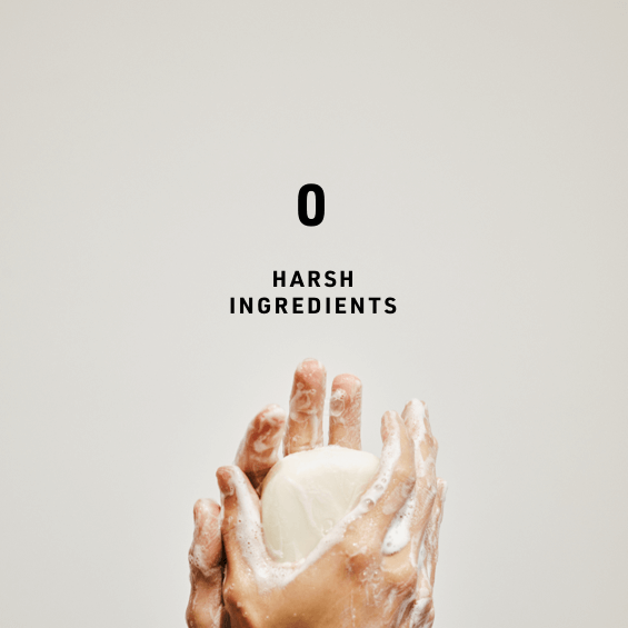 shampoo bars with no harsch ingredients