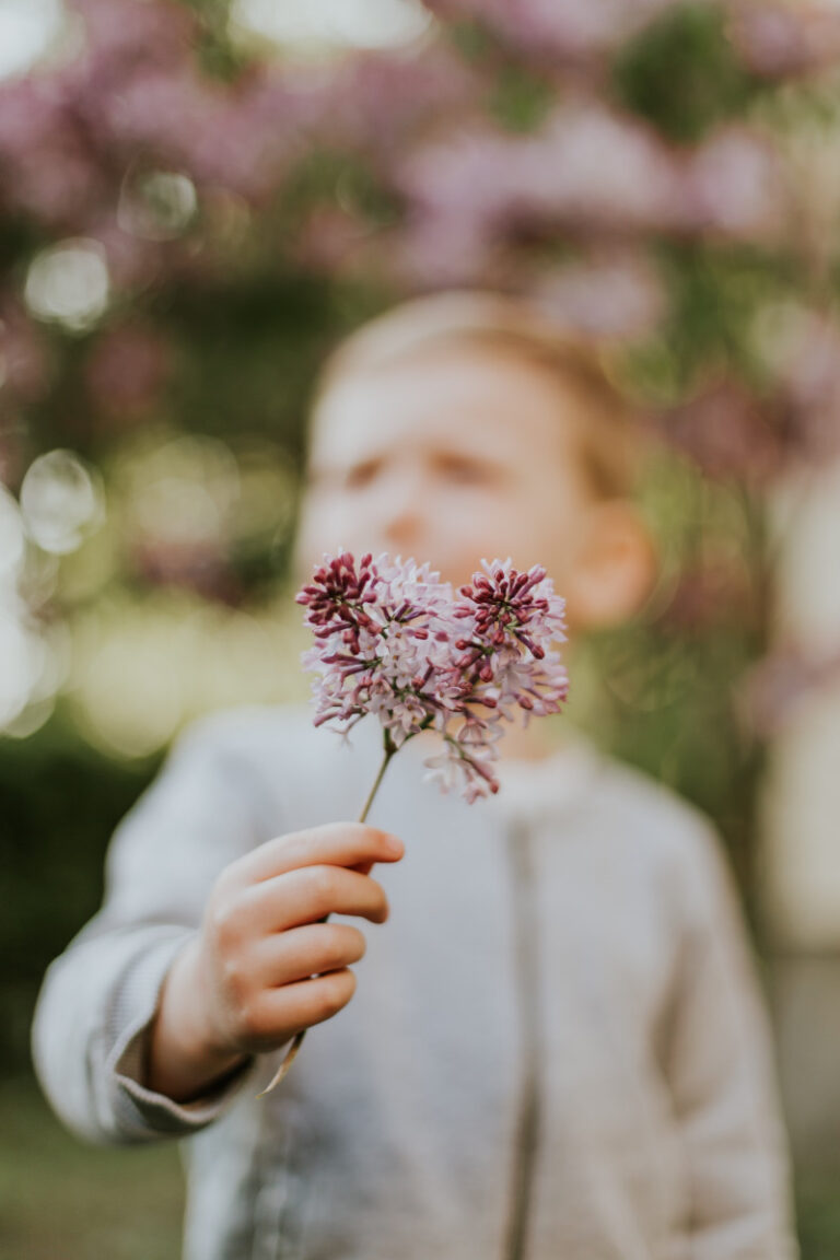 Sojourning through smell